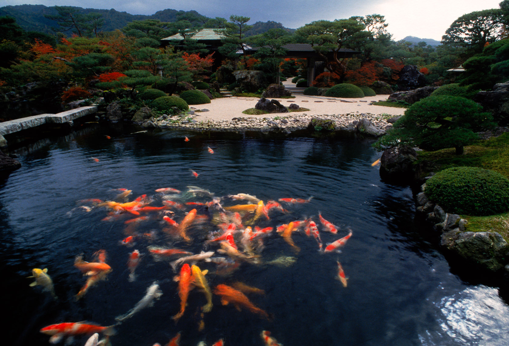 Japan_Soul_Nation_19.jpg