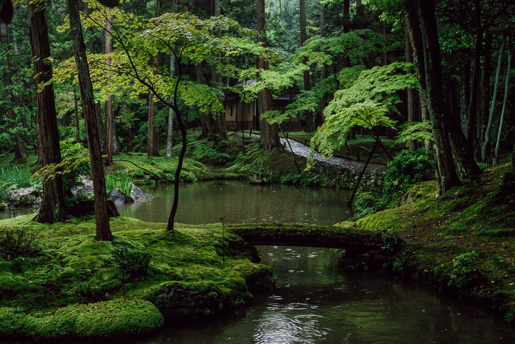 Japanese-Gardens-02.jpg