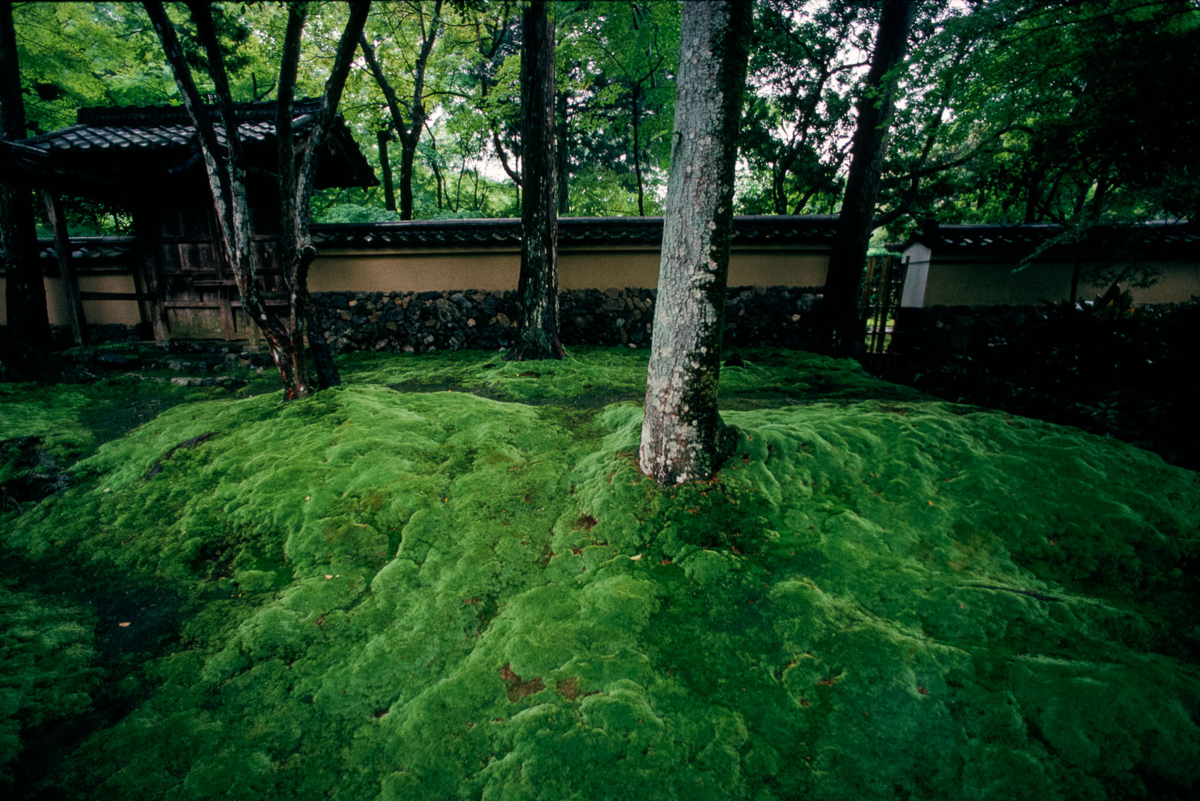 Japanese-Gardens-11.jpg