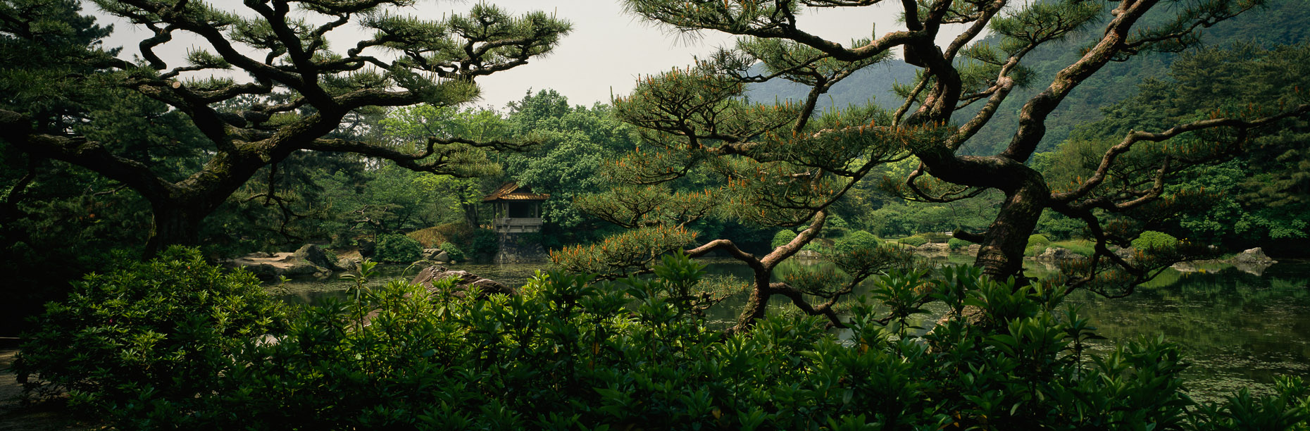 Japanese-Gardens-14.jpg