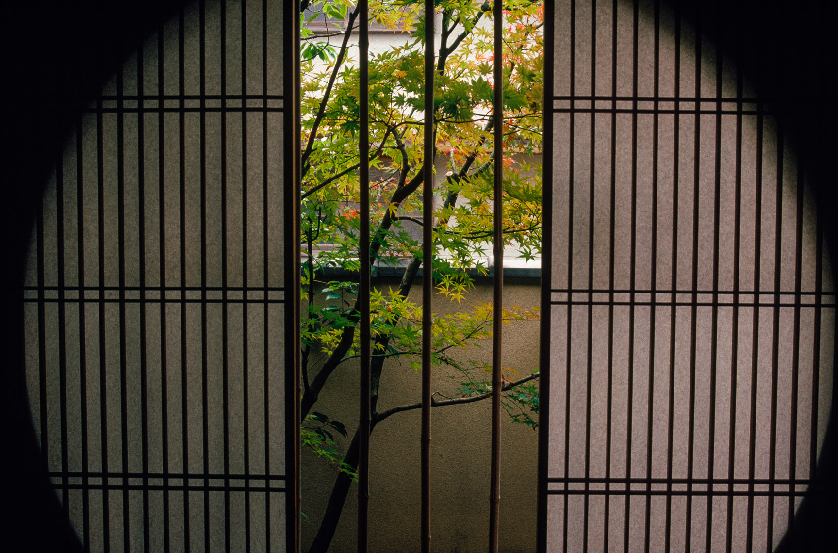 Japanese-Gardens-22.jpg